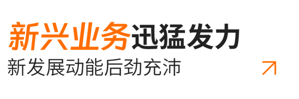 小问题03-新兴营业.png